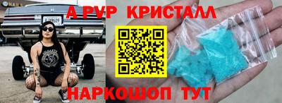 молекула духа Кингисепп