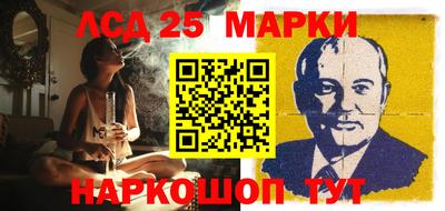 молекула духа Кингисепп