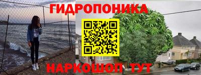 дживик Кимры