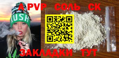 молекула духа Кингисепп