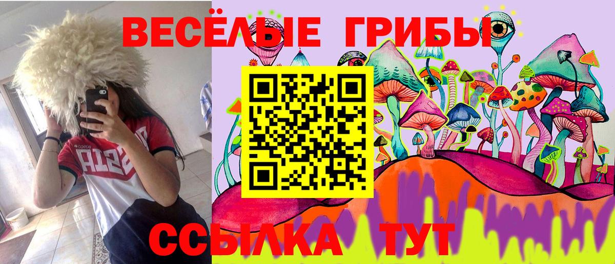 Псилоцибиновые грибы ЛСД  Вход с VPN  сколько стоит  Слободской  Галлюциногенные грибы Psilocybine cubensis 